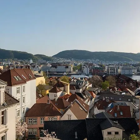 Live As A Local! I 350m To Bryggen And Floibanen 公寓 卑爾根